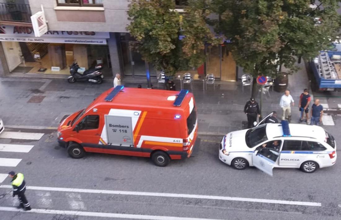Els efectius de policia i bombers que s'han desplaçat al lloc dels fets.