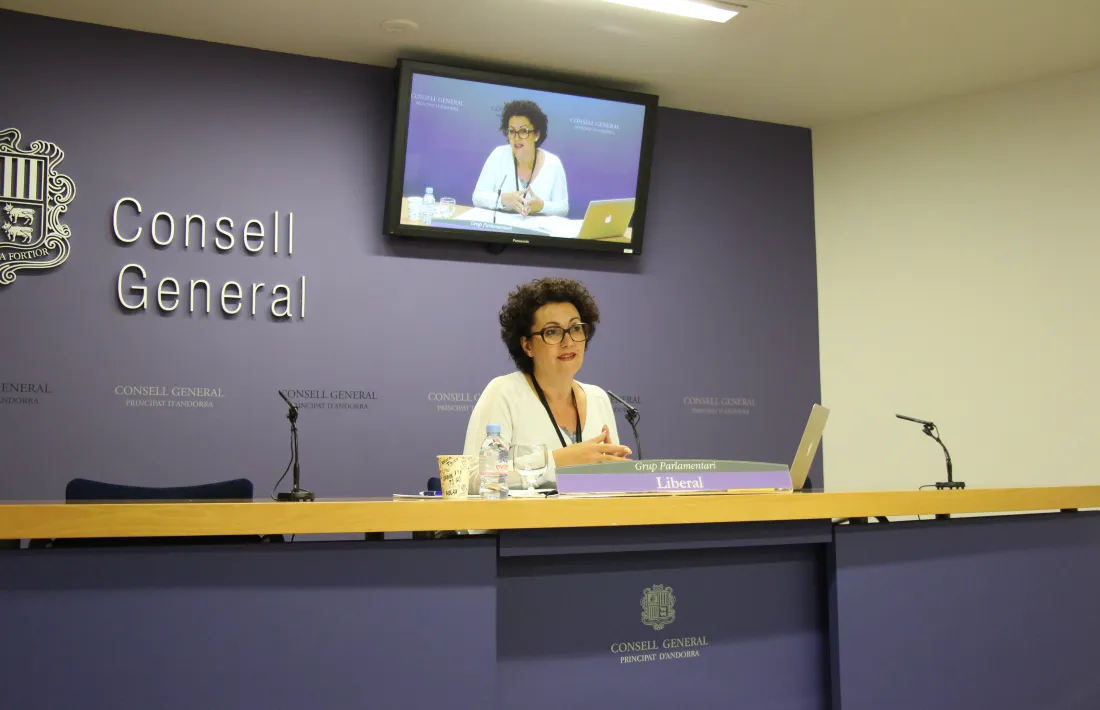 La consellera general del grup parlamentari liberal, Judith Pallarés, va justificar ahir la presentació de l’esmena a la totalitat.