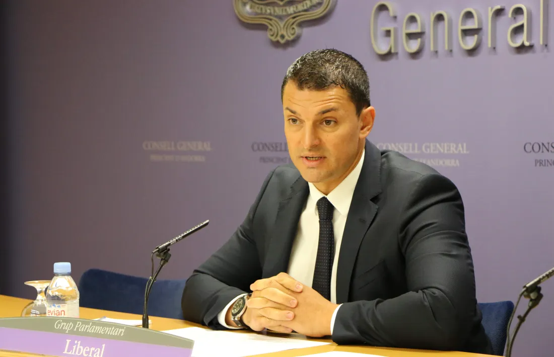 El president del grup parlamentari liberal, Jordi Gallardo, en la compareixença d’ahir al Consell General.