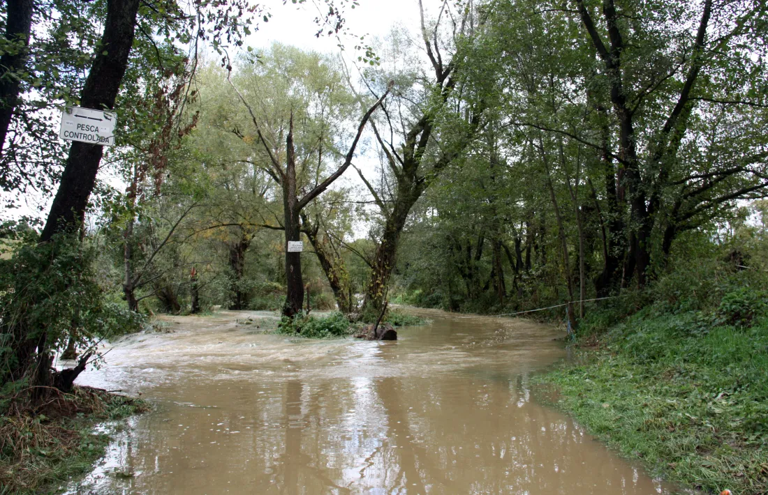 El riu Segre a la zona del pont de la Palanca, als termes de Ger i Das.