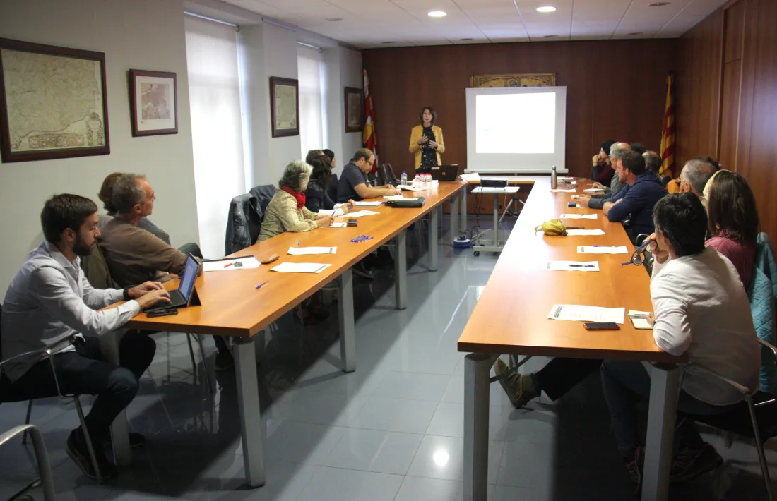 Jornada de treball organitzada pel Consell Comarcal de la Cerdanya.