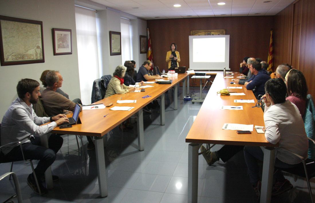 Jornada de treball organitzada pel Consell Comarcal de la Cerdanya.