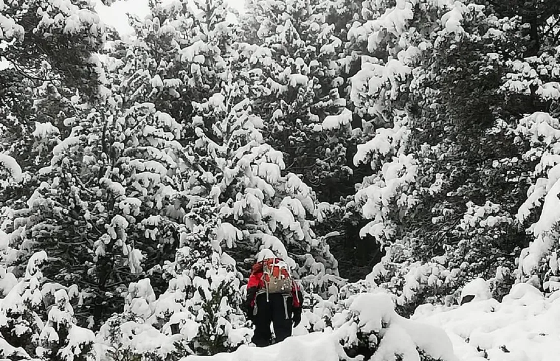 Un membre dels equips de rescat buscant els excursionistes.