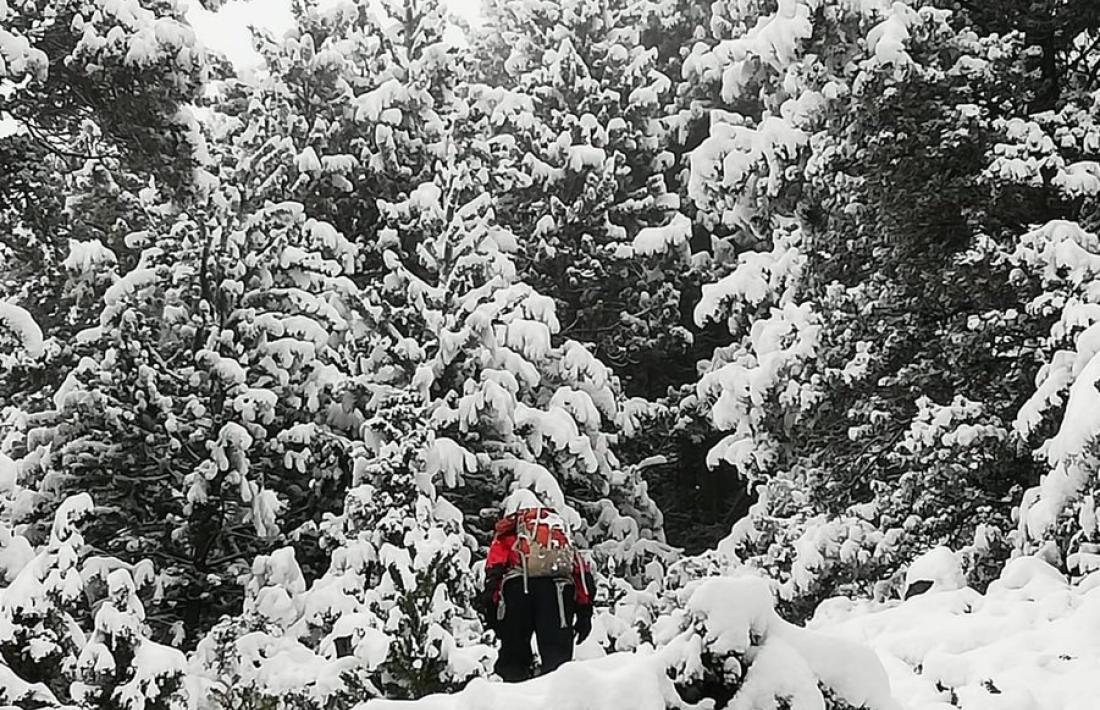 Un membre dels equips de rescat buscant els excursionistes.