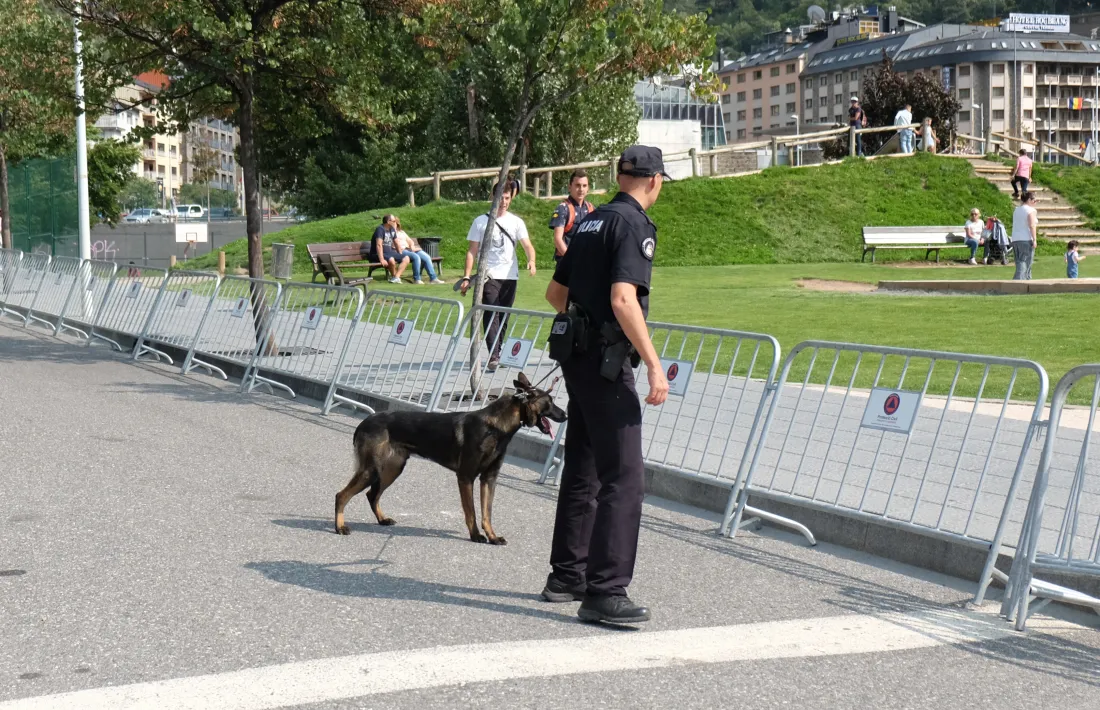 Un agent amb un gos policial.