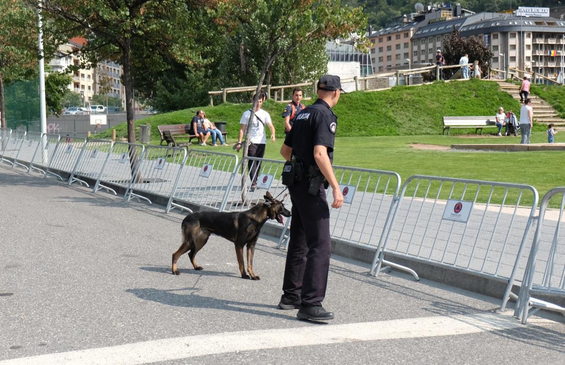 Un agent amb un gos policial.