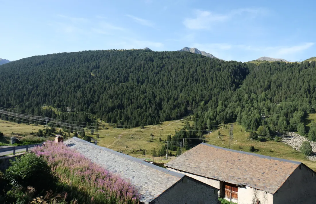 Vista general de la zona on Saetde té previst fer el nou accés, amb els dos telecadires del Pla de les Pedres visibles a la part superior dreta.