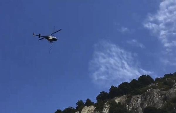 p._12_unica_helicopter_processionaria