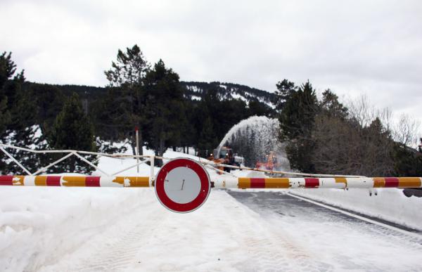 145011_coll_ordino