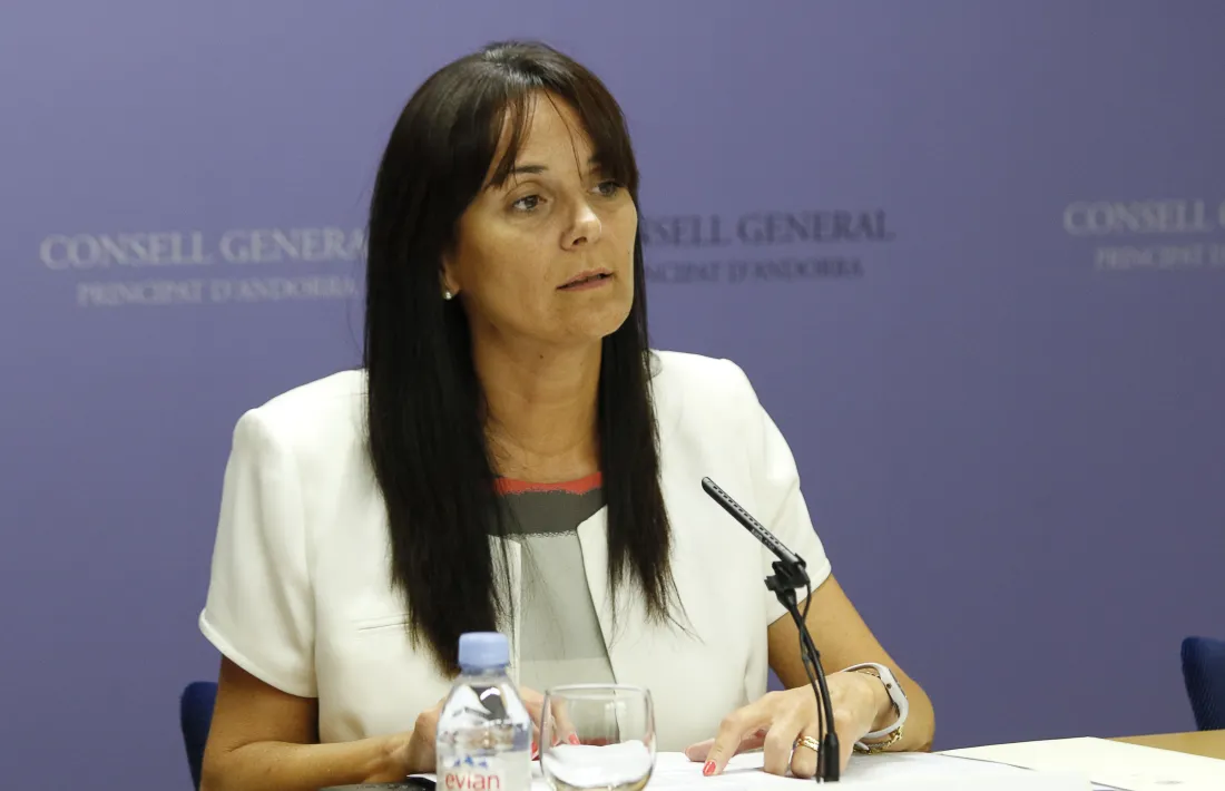 La subsíndica, Mònica Bonell, en una compareixença anterior.