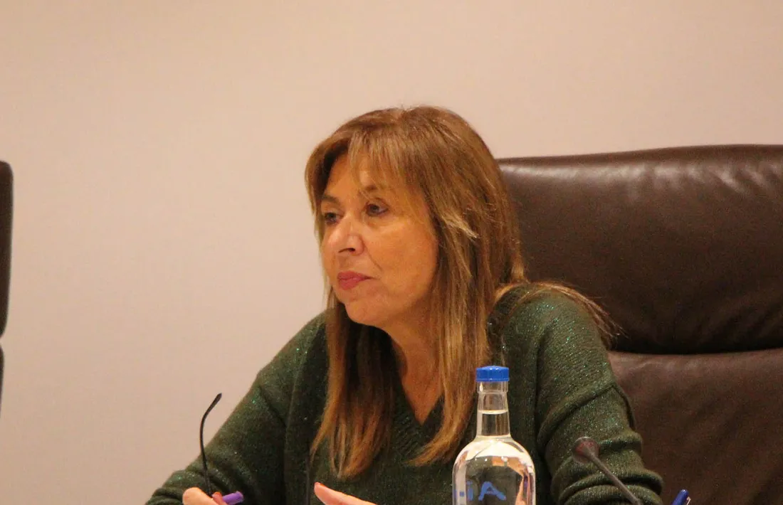 El comú sabrà divendres quines zones dels Serradells poden obrir de manera immediata