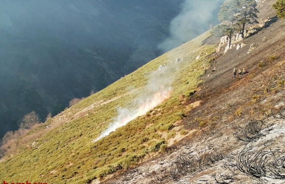 L'incendi ha cremat unes 240 hactàrees de pastures.