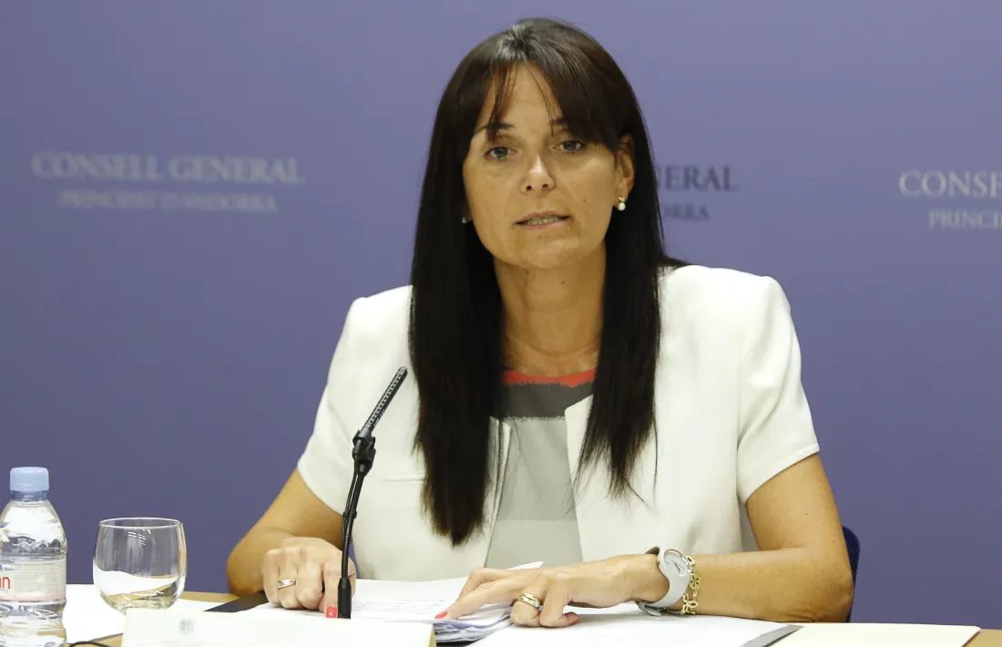 La subsíndica, Mònica Bonell, en una compareixença anterior.