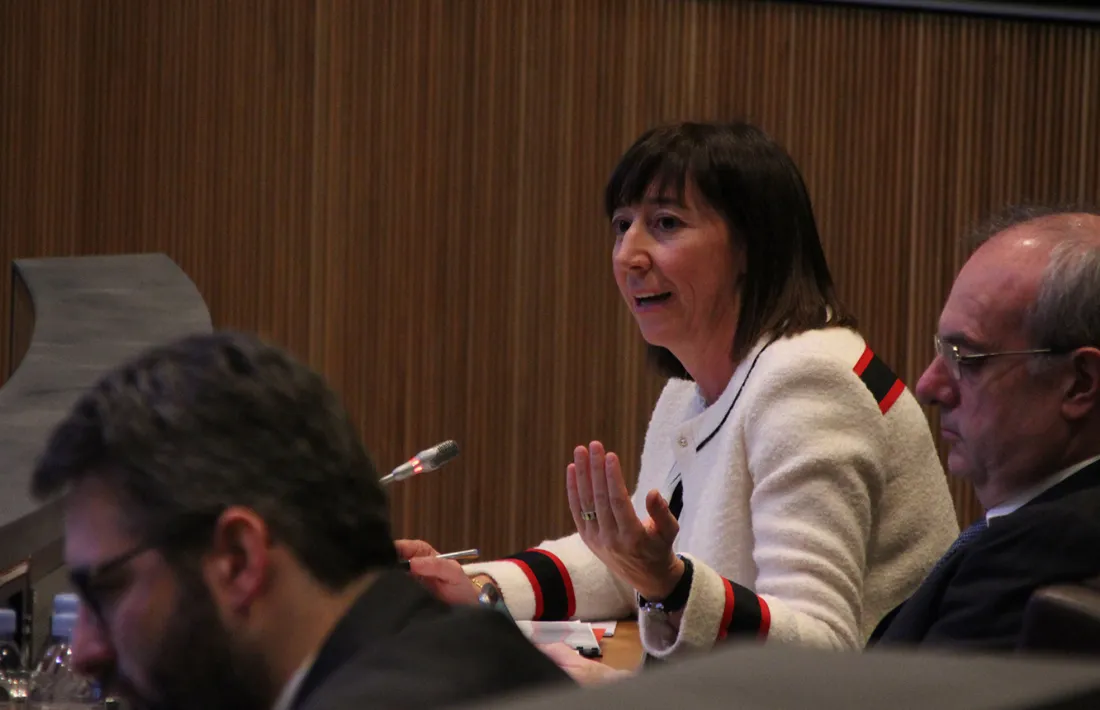 La ministra de Funció Pública i Reforma de l'Admisnitració, Eva Descarrega, durant la sessió del Consell General.