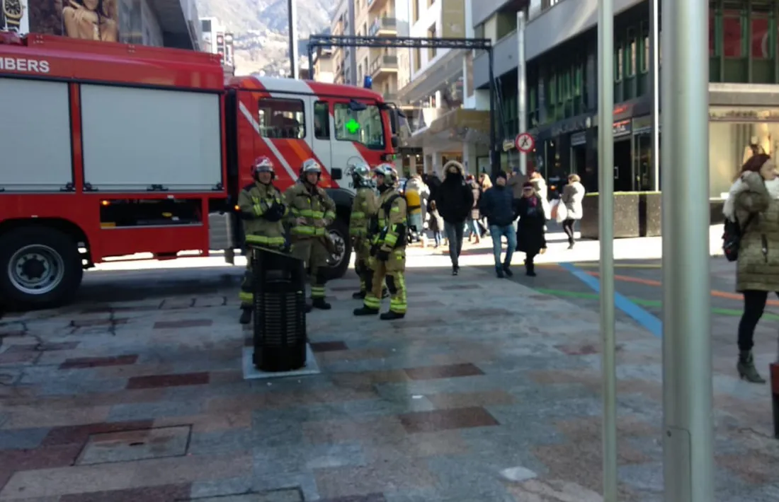 La paperera situada a l'avinguda Carlemany després de l'actuació dels bombers.