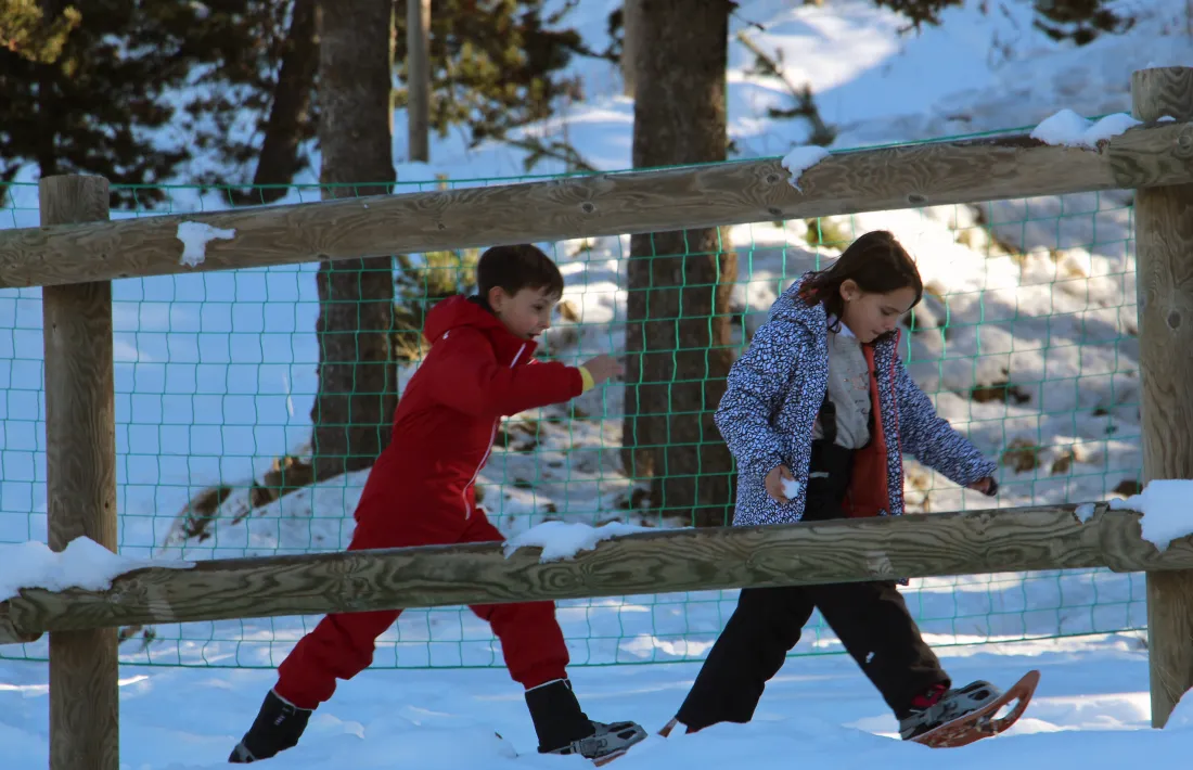 Les activitats es faran a Naturlandia.