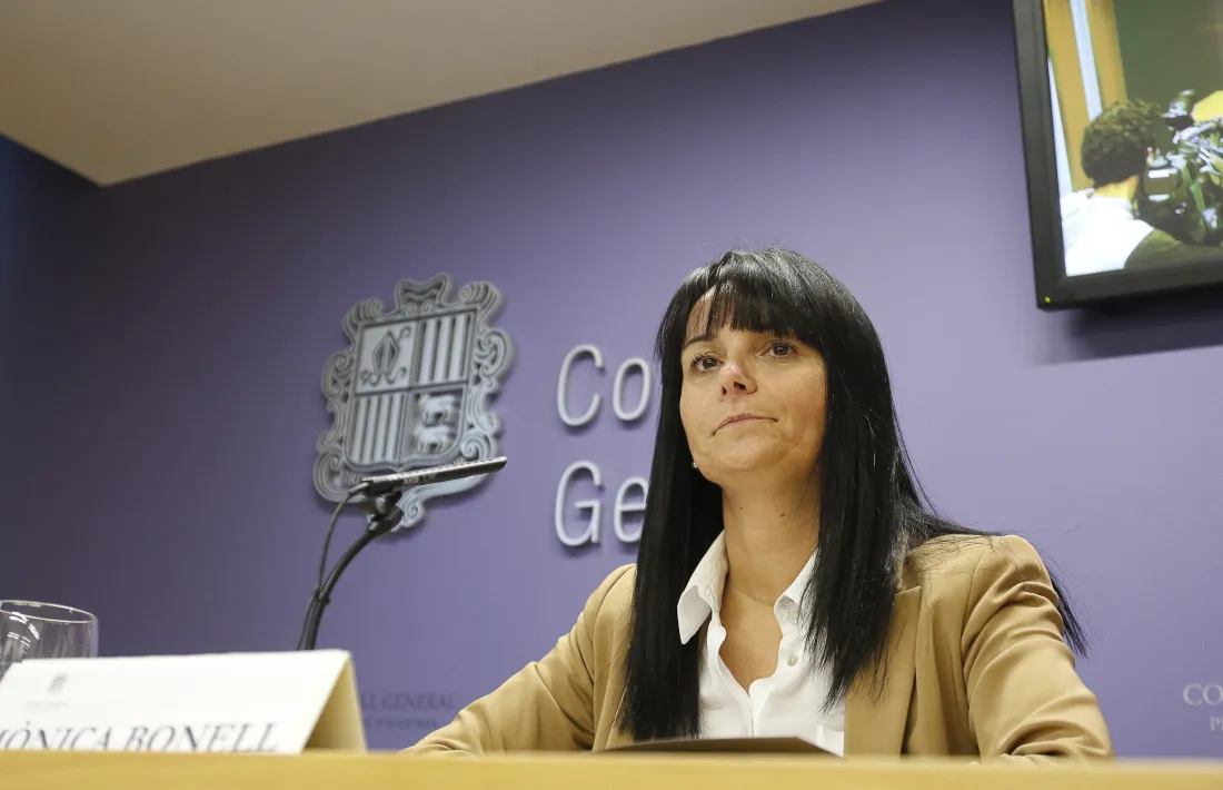 La subsíndica general, Mònica Bonell, en una compareixença anterior.