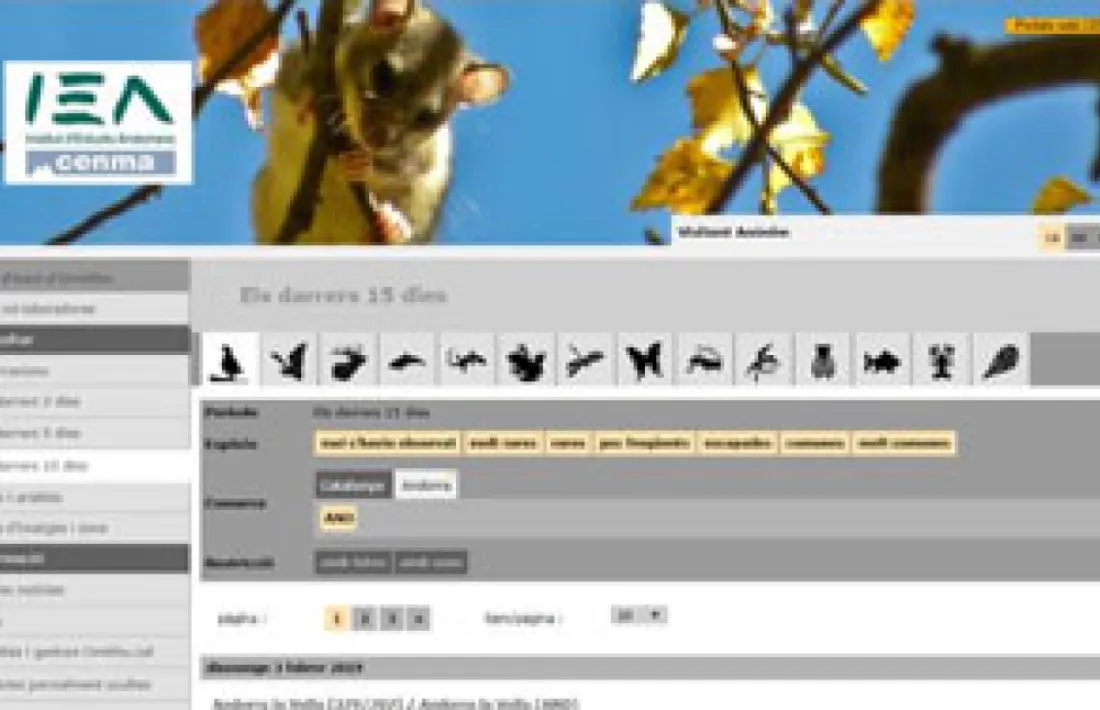 El web ‘Ornitho.ad’.