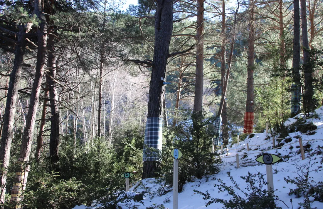 El Bosc Viu d'Ordino.