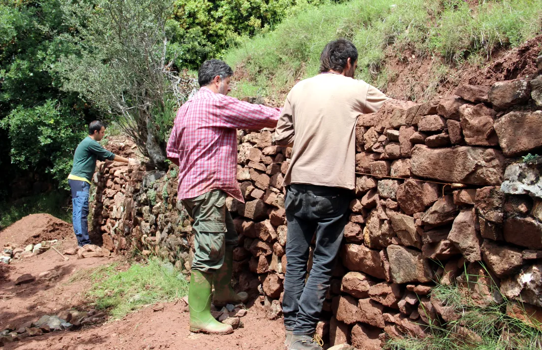 Algunes persones reparant un tros de paret de pedra seca.