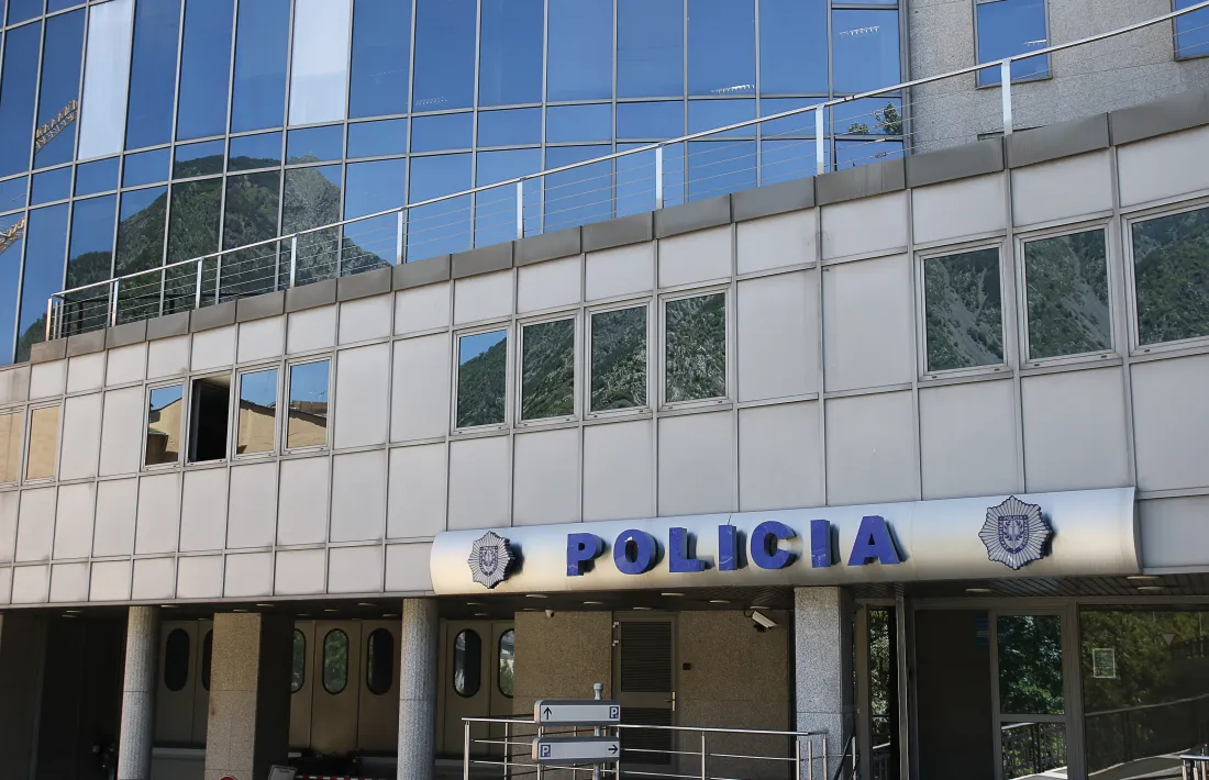 La policia va detenir la setmana passada fins a 29 persones per diversos delictes.