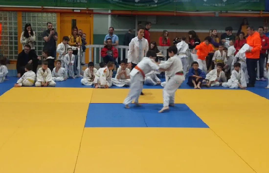 416 mini judokes