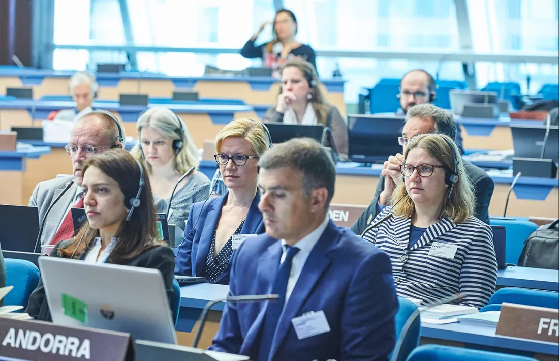 Marc Rossell, a la conferència del Consell d’Europa sobre el paisatge.