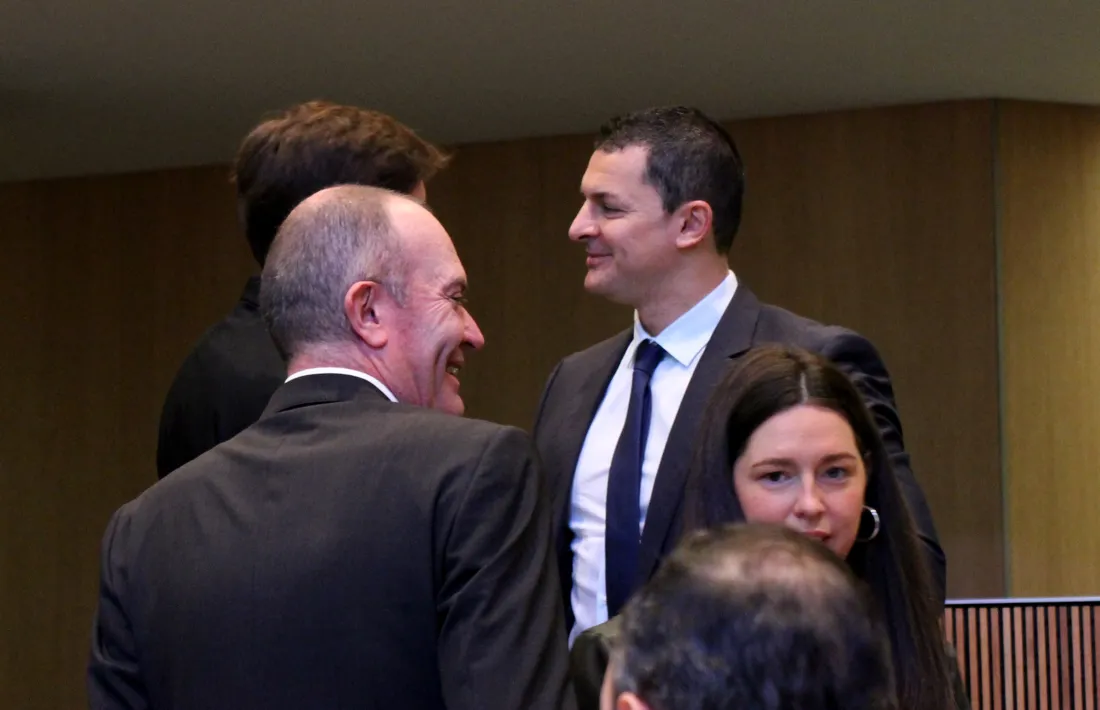 El president del grup parlamentari liberal, Jordi Gallardo.