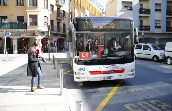 p._14_1_bus_-_jgr