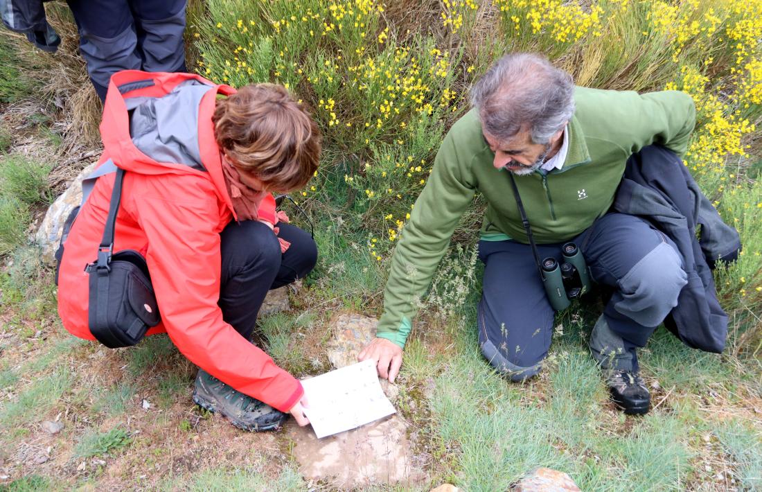 Dues persones intenten identificar unes petjades d’animals.