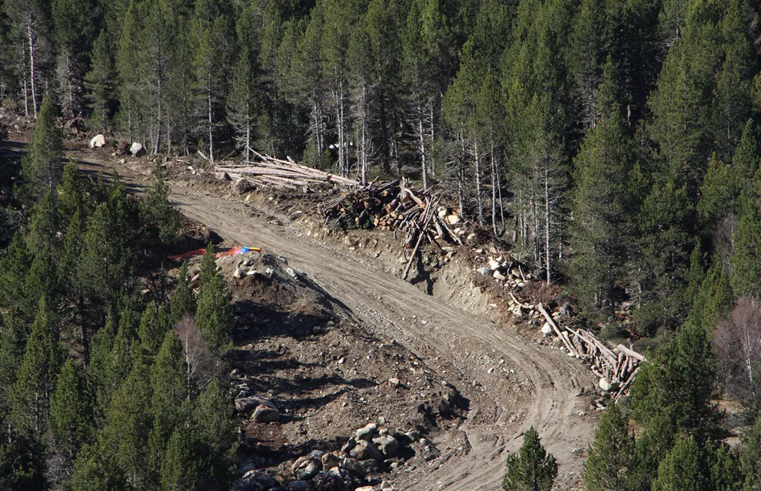 Les obres d'adequació del projecte.