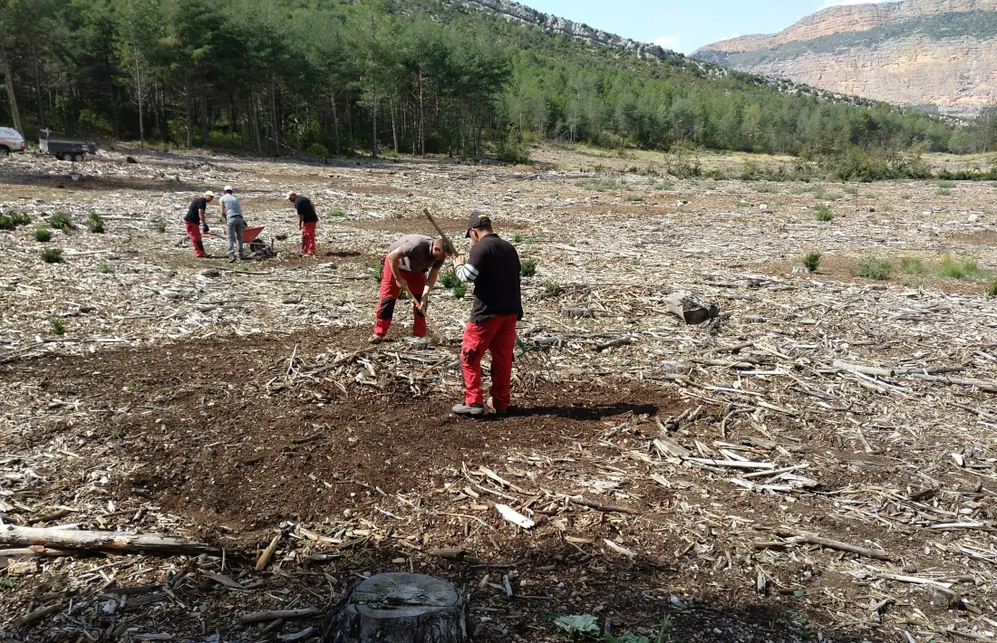 Operaris treballant a la Reserva de Boumort.