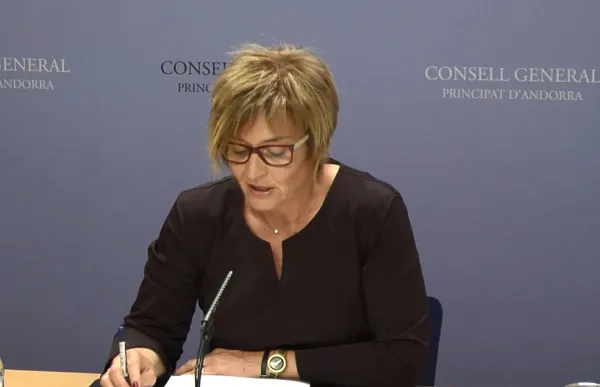 meritxell_palmitjavila_consell_general