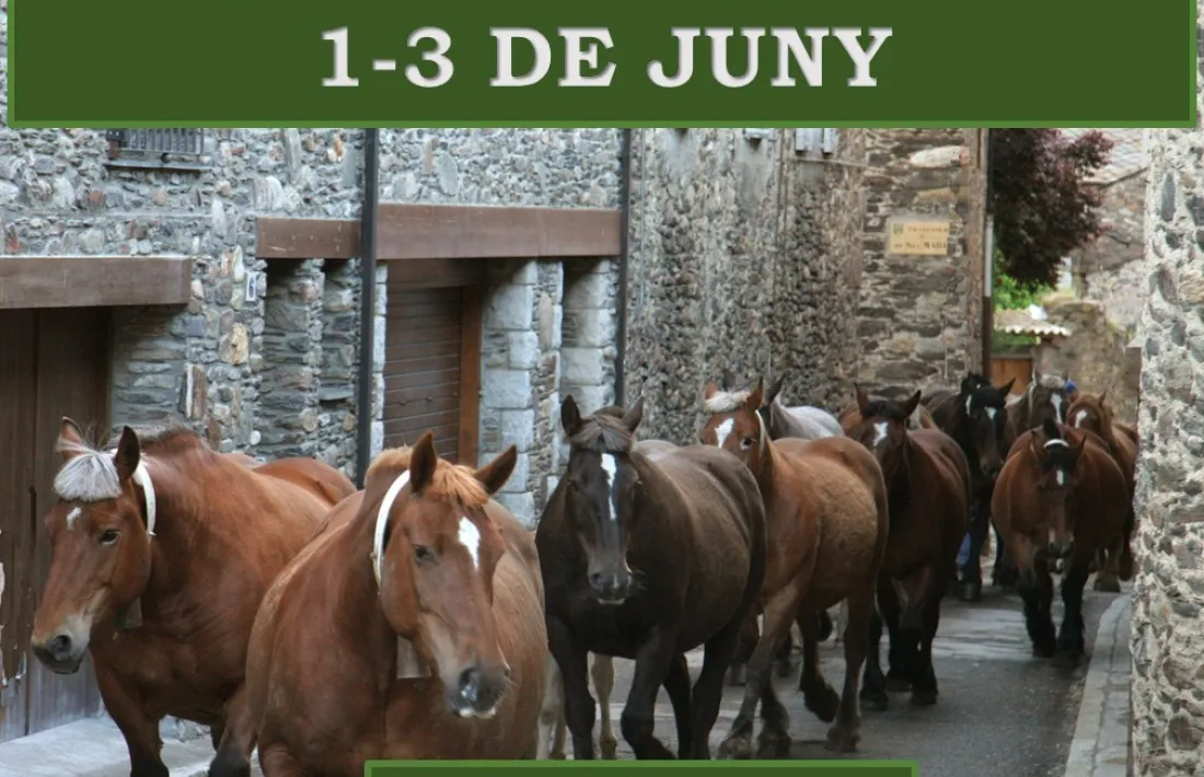 La Fira de la Transhumància s’allargarà durant tot el cap de setmana.