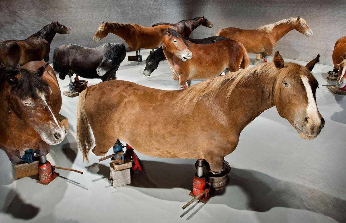 ‘Fixats en la contemporaneïtat’, la instal·lació amb què Balmaseda va concórrer el 2013 a Venècia.