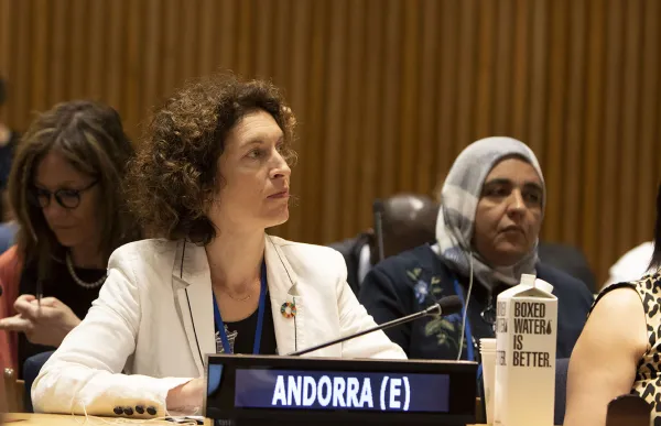 147807_maria_ubach_font_en_la_onu_012