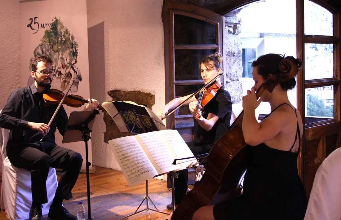 Un moment de l'actuació del Trio Goldberg, a Casa de la Vall.