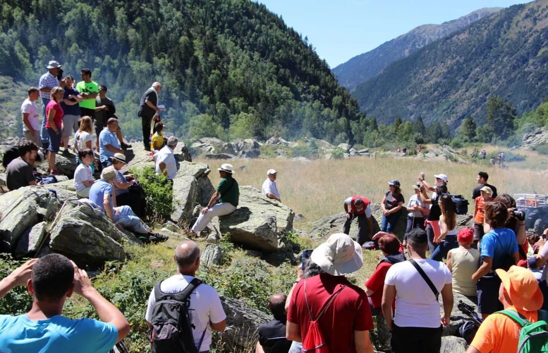 Benedicció del bestiar a la vall de Rialb.