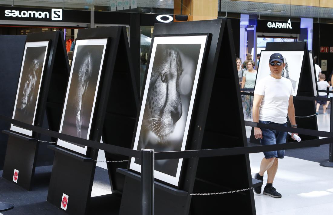 La mostra està situada a la planta baixa del centre comercial.