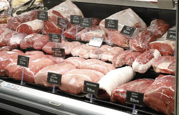 p._07_alimentacio_jgr