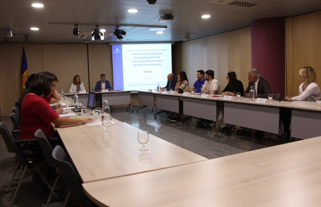 Un moment de la reunió celebrada aquest dimarts de la comissió de coordinació i desenvolupament de l'estratègia nacional de la biodiversitat d'Andorra (Cenba).