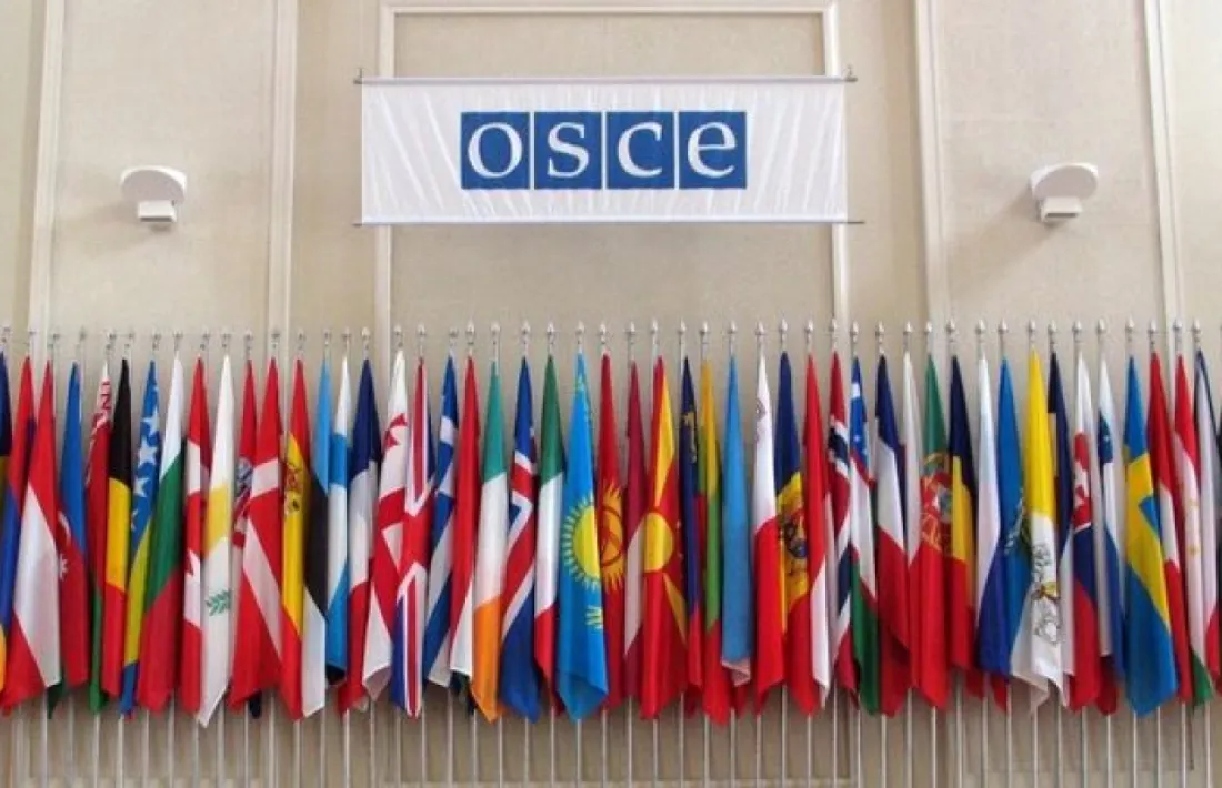 Organització per a la Seguretat i la Cooperació a Europa (OSCE).