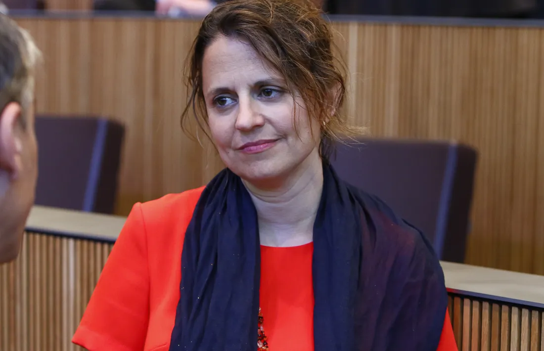 La consellera general del PS Rosa Gili va presentar una sèrie de preguntes sobre els tractaments oncològics oferts al país.