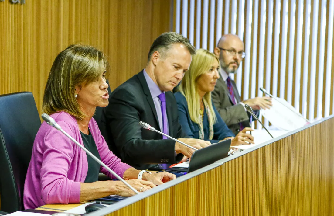 Un moment de la compareixença d’Ester Vilarrubla davant la comissió legislativa d’Educació, Recerca, Cultura, Joventut i Esports.