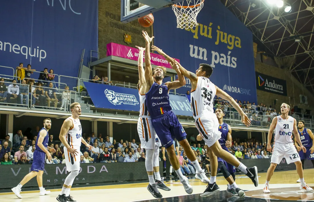 Aquest sí que és el camí