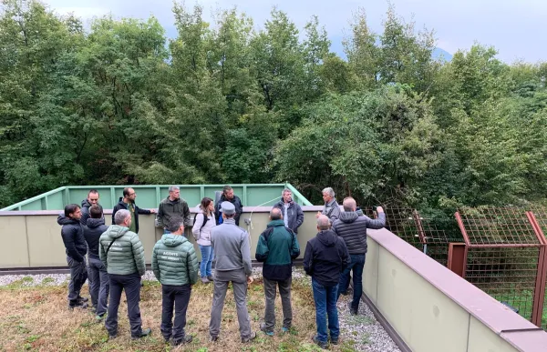 p._15_1_-_conselh_generau_aran