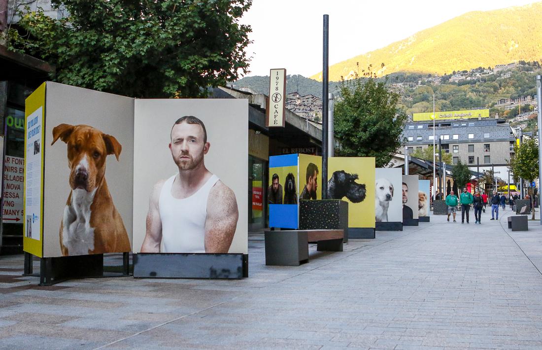 Vianants observant la mostra ‘Do you like your dog’ a l’avinguda Carlemany.