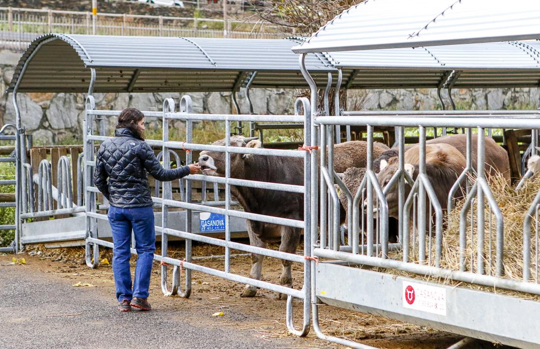 La celebració del 20è aniversari es va fer a l’explotació ramadera d’Arans, a Ordino.