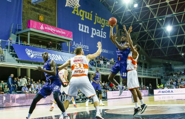 p._17_basquet_-_jgr_2