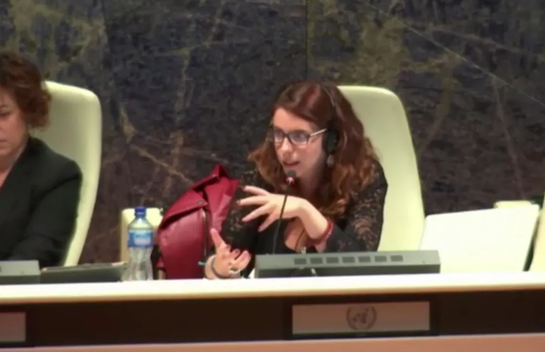 La delegació del Govern en la seva compareixença davant del Cedaw.